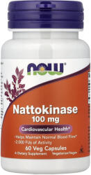 NOW Nattokinase (Enzima), 100 mg, Now Foods, 60 capsule