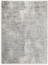 Takoy Modern ezüst színátmenetes szőnyeg OMEGA2 120x170 cm