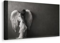 Dovido Tablou eleganță angelică în gri - 120x80