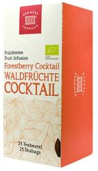 DEMMERS TEEHAUS Ceai Forestberry Cocktail - Demmers Quick-t