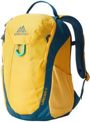 Gregory Детска детска раница Gregory Kid's Wander 8 Kids' backpack - Aqua Yellow - размер One Size (508-0562-0111)