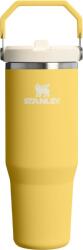 STANLEY Pahar termic cu mâner și pai IceFlow 2.0 Daffodil 890 ml (10-13424-0219)