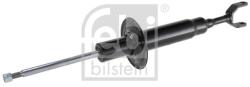 Febi Bilstein amortizor FEBI BILSTEIN 1002540 (1002540)