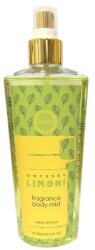 Armaf Odyssey Limoni Fresh Edition - testpermet 250 ml