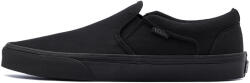Vans Asher