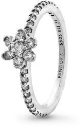PANDORA Moments 194499C01-52 (Ag 925/1000, 1, 93 g)