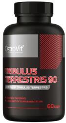 OstroVit Tribulus Terrestris - 60 caps