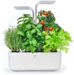 Véritable gradină de casă autonomă Smart 33 × 18, 5 x 45 cm 99KK-EGU0KG_90X (VPOT.BAWIG.EU2.159)