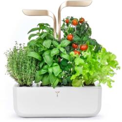 Véritable gradină de casă autonomă Connect 33 × 18, 5 x 45 cm 99KK-EGU0KA_18X (VPOT.BAWMG.EU2.160)