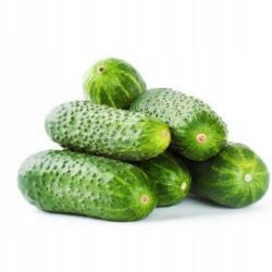  Friss Lengyel Mezei Uborka 1KG (24)
