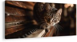 Dovido Tablou pisică curioasă pe pian - 60x30