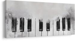 Dovido Tablou muzică în tonuri alb-negru - 100x50