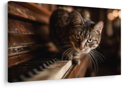 Dovido Tablou pisică pe pian - 60x40