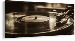 Dovido Tablou disc de gramofon vintage - 140x70