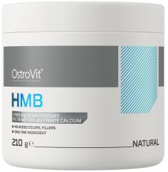 OstroVit HMB Powder - 210 grams
