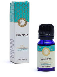 Song of India eukaliptusz illóolaj - 100% tiszta, 10 ml