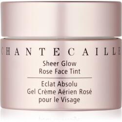 Chantecaille Sheer Glow Face Tint színező gél az élénk és kisimított arcbőrért 30 g