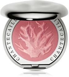 Chantecaille Cheek Shades blush Coral Laughter 2.5 g