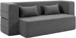HOMCOM Canapea extensibilă 2 locuri din spumă, canapea de dormit cu brațe late, 2 perne, capacitate 360 kg, gri | Aosom Romania (83B-522V00GY) Canapea