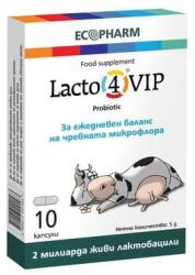 Ecopharm Lacto 4 VIP, 10 capsule, Ecopharm