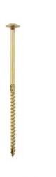 Uncanny Brand Screw for wood with collar on torx zinc yellow 5*100mm t25