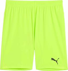 PUMA Teamgoal Shorts (70575220)
