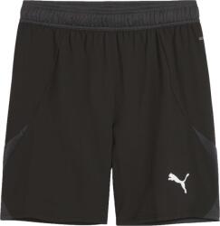 PUMA Teamfinal Shorts (70574303)