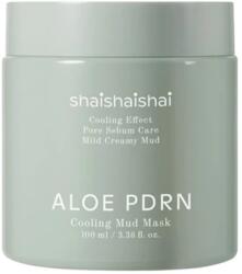 Shaishaishai Aloe PDRN Cooling Mud Mask - Mască de Curățare cu Argilă Răcoritoare 100ml Masca de fata