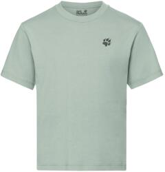 Jack Wolfskin Детска тениска Jack Wolfskin Kid's Print T-Shirt - Hike Green Zinnia - размер 128 (EU) (704-5897-0213)