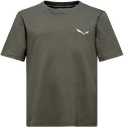 Salewa Детска тениска Salewa Kid's Graphic T-Shirt - Faded Green - размер 128 (EU) (704-5543-0214)