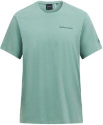 Peak Performance Мъжка спортна тениска Peak Performance Explore Logo Tee T-shirt - Green Valley (216-3251-0613)