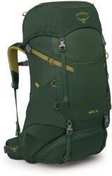 Osprey Детска детска раница Osprey Kid's Ace 38 Kids' backpack - Green Canopy / Matcha Green - размер One Size (508-0701-0211)