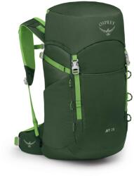 Osprey Детска детска раница Osprey Kid's Jet 28 Kids' backpack - Green Canopy / Limeline Green - размер One Size (508-0706-0211)