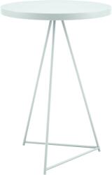 Delusso Prego bárasztal Celadon Green (FY-66B-TAB-C-97051)