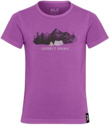 Jack Wolfskin Детска спортна тениска Jack Wolfskin Kid's Hiking Graphic T-Shirt Sport shirt - Print Freesia - размер 116 (EU) (704-5895-0312)