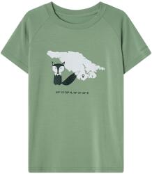 Isbjörn Детска тениска Isbjörn Kid's Buddy Tee T-shirt - Pistachio - размер 98/104 (EU) (704-5771-0412)