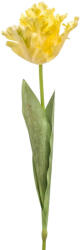 TOTOX Lalea papagal, galbenă 68cm