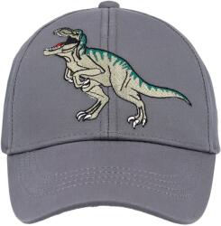 maximo Шапка с козирка Maximo Boy's Cap Dinosaur, Hook-and-Loop Fastening Cap - Grau / Blau - размер 53-55 cm (904-6335-0112)