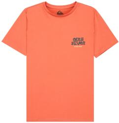Quiksilver Детска тениска Quiksilver Kid's Fruits Tide S/S T-shirt - Desert Sand - размер 14 (US) (704-6115-0214)