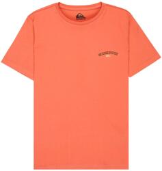 Quiksilver Детска тениска Quiksilver Kid's Urban Nomad 1 T-shirt - Desert Sand - размер 16 (US) (704-6121-0215)