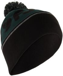 Fjällräven Зимна шапка (beanie) Fjällräven Pom Hat Beanie - Arctic Green / Black - размер One Size (204-7471-0111)