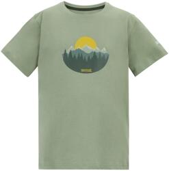 Regatta Детска тениска Regatta Kid's Bosley T-shirt - Light Sage - размер 3-4 Years (704-6360-0311)