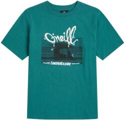 O'Neill Детска тениска O'Neill Kid's Slub Graphic T-Shirt - Botanical Heat - размер 152 (EU) (704-6071-0114)
