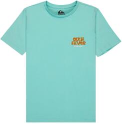 Quiksilver Детска тениска Quiksilver Kid's Fruits Tide S/S T-shirt - Blue Haze - размер 12 (US) (704-6115-0113)