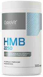 OstroVit HMB 2250 - 300 caps
