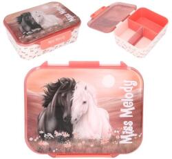 Miss Melody Miss Melody, Blossom Pony, cutie pentru pranz cu compartimente
