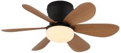 GLOBO 03625H - Ventilator de tavan LED dimmabil DELORES, LED/5W/230V, 2700-6500K, maro + telecomandă (GL8888)