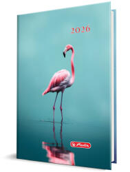 Herlitz Agenda datata a5 352pag coperta buretata motiv flamingo 2026 (9497870)