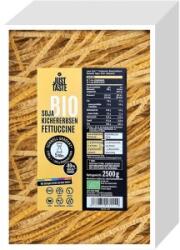 Just Taste Fettuccine din Naut, Just Taste, Bio, 2500 g