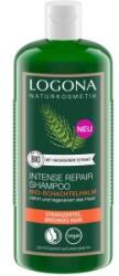 Biogast Sampon cu Extract de Coada Calului Ulei de Inca Inchi si Aloe Vera Biogast, Bio, 250 ml